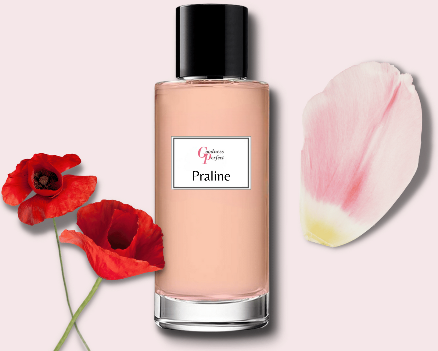 Parfum G13 Inspiré de Amor Amor